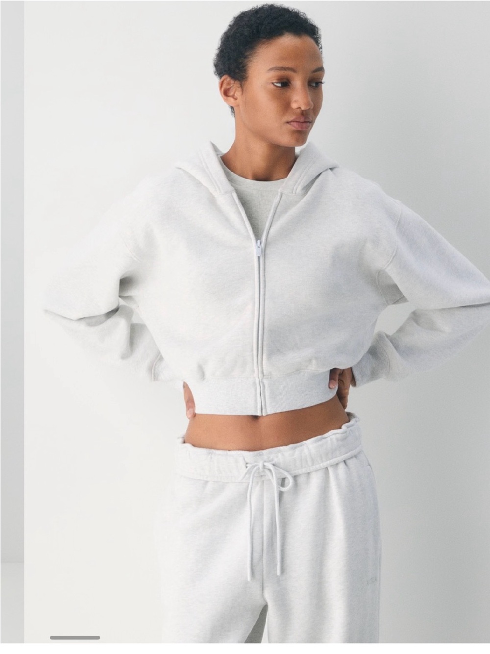 Aritzia Light Gray Cropped Zip Hoodie